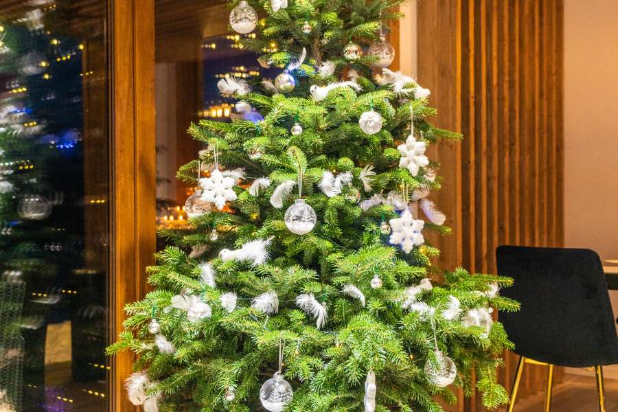 Zima w góralskiej  dolinie