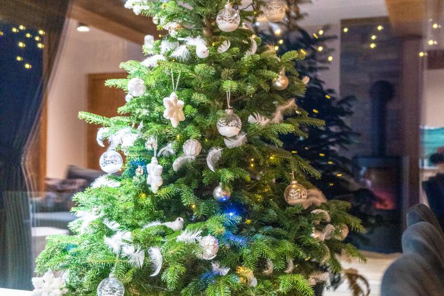 Zima w góralskiej  dolinie