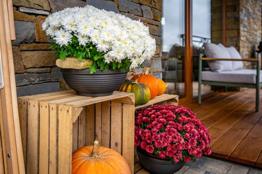 Domki Góralskie  - Bańska Wyżna